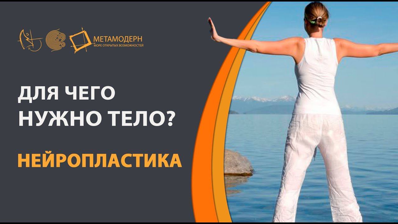 Для чего нужно тело?  Для чего разговаривать с телом? Нейропластика | Андрей Проворов