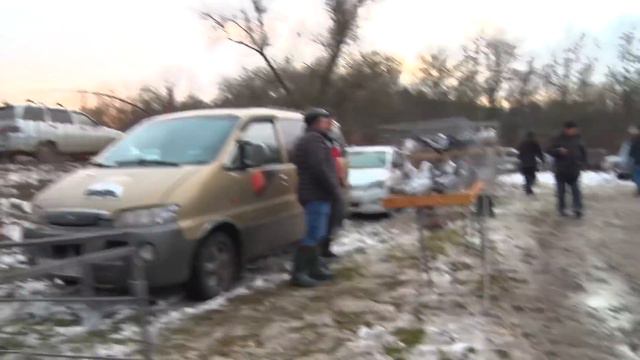 Птичий рынок - Кропоткин [27.12.2020]. Часть 1 - голуби. смотреть онлайн