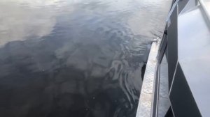 отзыв Волжанка 67 кабин после сезона эксплуатации 2019 "Voyager 700 cabin"