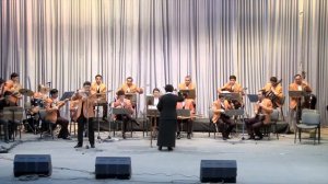 F.Zokirov musiqasi - Majnuntol / Фаррух Закиров - Ива / Farrukh Zakirov - The willow