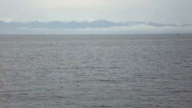 MOV02098 смотреть онлайн