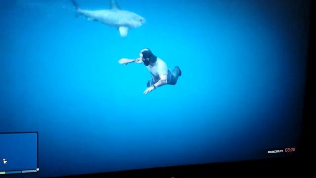 Grand Theft Auto 5 great white shark attack смотреть онлайн