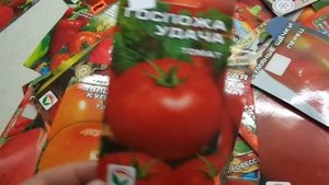 КАКИЕ ТОМАТЫ ВЫБРАТЬ? СОРТ ГОСПОЖА УДАЧА. Обзор Ольги Черновой.