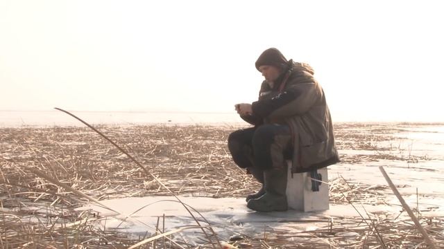 Красноперка по последнмеу льду : На рыбалку с Нормундом #84 смотреть онлайн