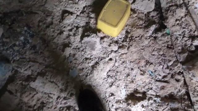 Ищем драгоценные монеты в заброшенных домах! Поиск дорогих монет. Розрыли хату ради монет?