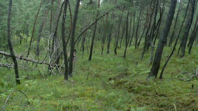 Поднимаемся на очень сложный подъём#рекомендации#