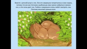 Музыкальное развитие дошкольников. Сказкотерапия. Домашний фитнес.