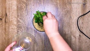 Рулетики из баклажанов Бадриджани (Badrijani) - пряные, сытные и очень вкусные