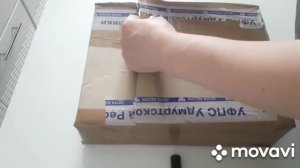 КОМНАТНЫЕ РАСТЕНИЯ(ЦВЕТЫ).ПОСЫЛКА-СЮРПРИЗ.ДВЕ ПОСЫЛКИ С РАСТЕНИЯМИ.