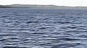 Рыбалка в Карелии на реке Нива