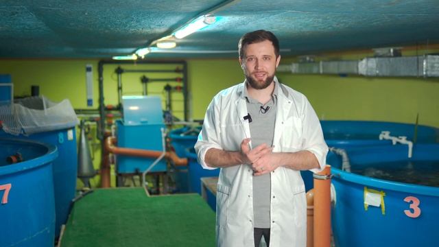 Стоит ли ВЫРАЩИВАТЬ НЕСКОЛЬКО видов РЫБ в одной СИСТЕМЕ УЗВ? | Бизнес идеи