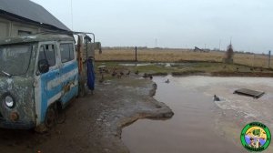 Подготовка подсадных уток к весенней охоте.