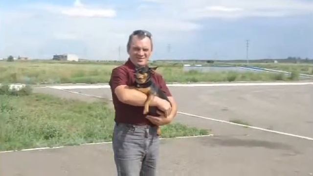 Чем больше узнаю людей-тем сельнее я люблю животных смотреть онлайн