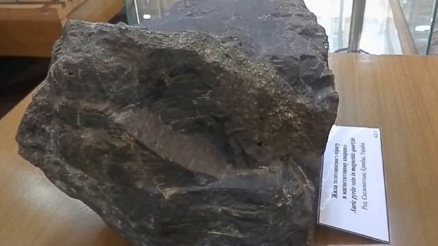 геолого минералогический музей Кривого Рога часть 3 смотреть онлайн