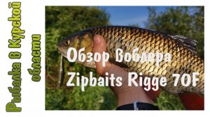 Обзор воблера Zipbaits Rigge 70F и крупный голавль