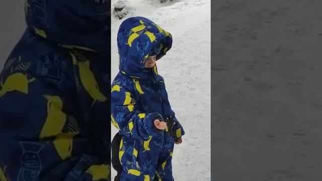 Вова кормит птичек синичек! 02 2023 смотреть онлайн