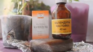 Мучнистый червец на ОРХИДЕЯХ / СПОСОБ БОРЬБЫ