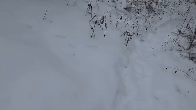 НЕОБЫЧНЫЕ СТУЛЬЯ!! СУПЕР БУТЕРБРОД НА ПЕЧИ!!! Землянка у озера смотреть онлайн