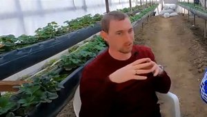 Что обозначает NPK на упаковках с удобрениями, и если различие в значениях?