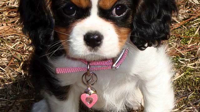 Pop Россия. Красивая лирическая песня. Как же девушка... смотреть онлайн