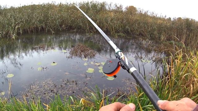 Ловля на боковой кивок. Рыбалка в октябре. Осенний клёв окуня на мормышку. смотреть онлайн