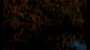 Клены над рекой  Александр Спиридонов Комар