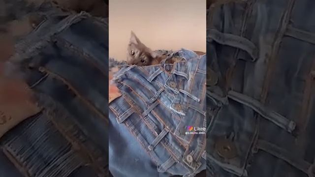 Вторая жизнь вещей.Сумки эксклюзивные.Пэчворк. смотреть онлайн