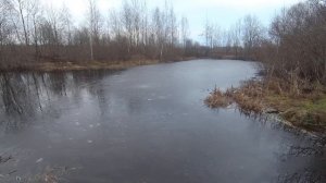 Пруд на даче. Откуда рыба в нашем пруду. Искусственный пруд на участке своими руками. Свой пруд.