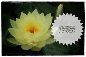 САБЛИМИНАЛ «БЛАГОУХАНИЕ ЛОТОСА»🪷 🤲👠 #саблиминалы #лотос #женскаяэнергия #божественное