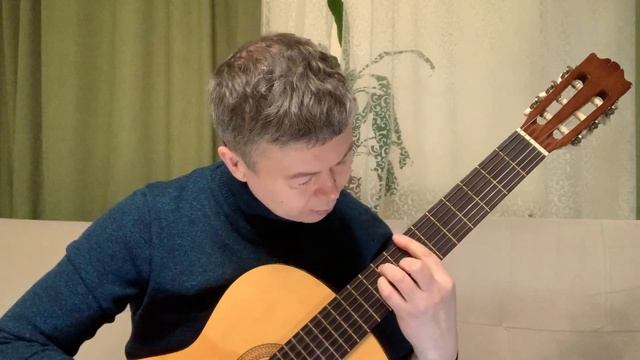 Гитара Hohner HC-05 - Увезу тебя я в тундру смотреть онлайн