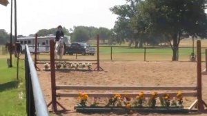 Anna Rides Noel in Beginner Jumping Class - Trip 3d