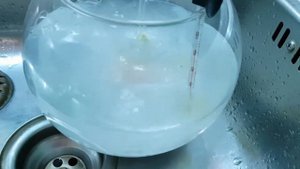 Обработка аквариума с петушком