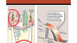 anti arrhythmic drugs with M.Atif Riaz