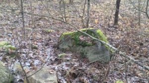 Урал 5557 лесовоз. Наконец еду в лес