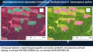 Лесная растительность, породный состав и возрастная структура лесов