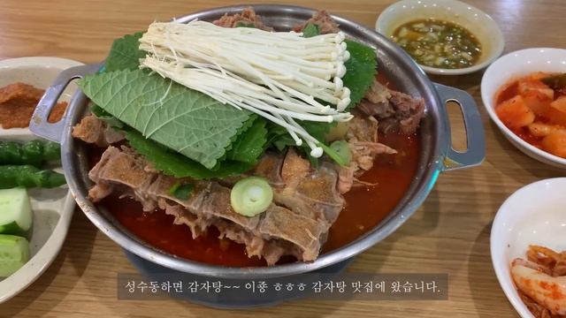 ENG/[뀨오kkyuo]성수동 감자탕 먹방,열기가득 을지로 호프 노가리 맥주한잔, 자전거타기,서울숲 나들이,일상브이로그,dailyvlog,vlog,eating,mukbang