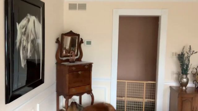 Fenzi NW Ch 4 Ginger Inaccessible Containment 1