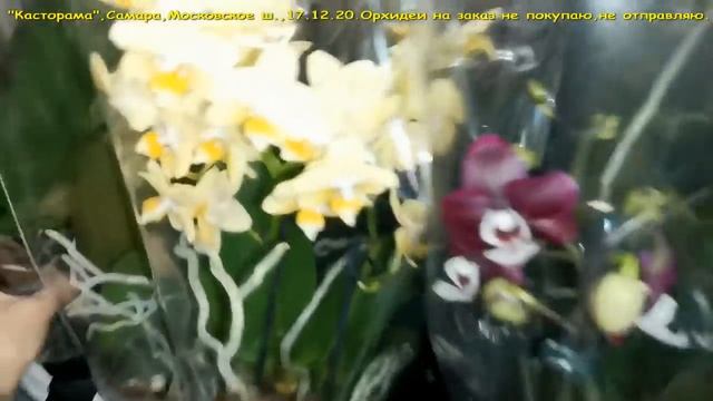 ШИКАРНЫЙ завоз ОРХИДЕЙ:"Castorama".Ура,ПОКУПКИ!17.12.20,Самара,Московское ш. смотреть онлайн