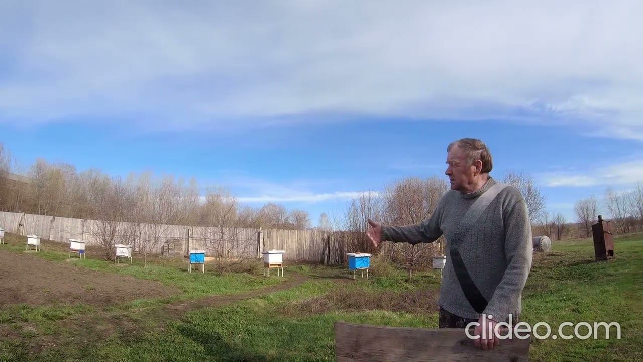 Где летит пчела? смотреть онлайн