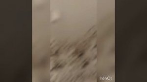 строим шалаш из двухэтажной кровати из подушек