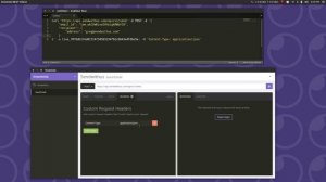Importing a cURL Command into Insomnia