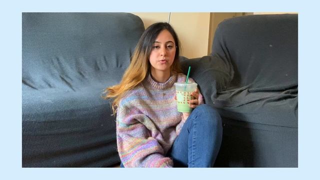 Introduction to Eurasiers! Eurasier 101