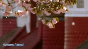 Мамы родные глаза - Елена Василек