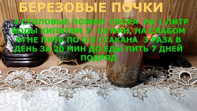 БЕРЕЗОВЫЕ ПОЧКИ ЭФФЕКТИВНЫЕ РЕЦЕПТЫ