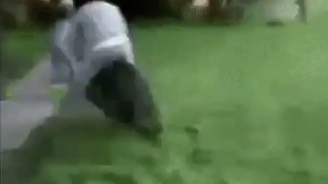 hog rider sound смотреть онлайн