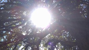 Тета медитация "Очищение и наполнение". Тета хилинг