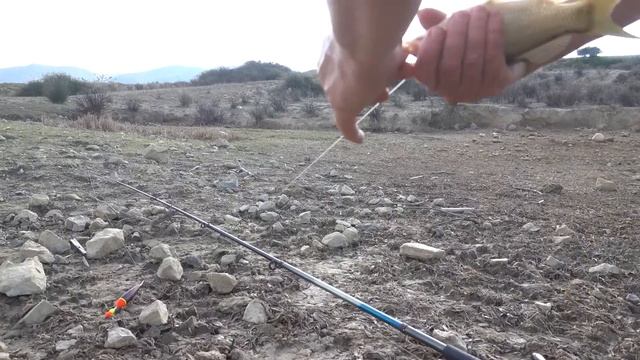 На рыбалку с ночёвкой / Ловим сазанчика на кукурузу / Пикник под луной смотреть онлайн