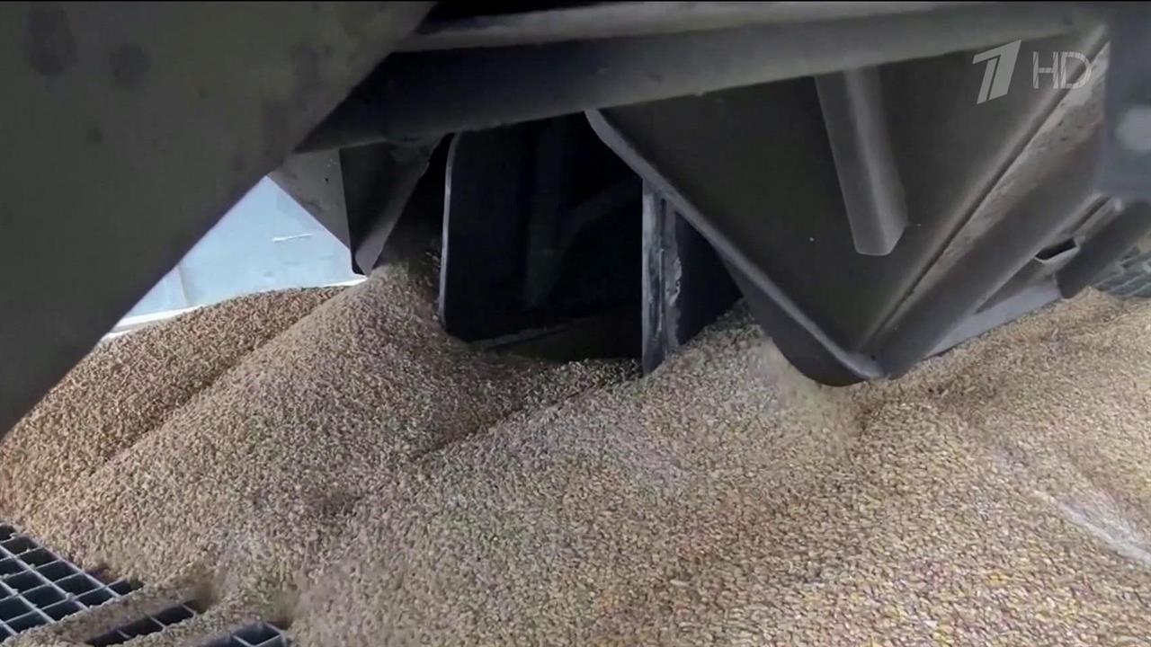 Пять европейских стран требуют продлить запрет на импорт украинского зерна