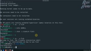 Сравнение SHELLs BASH vs ZSH vs FISH. Делаем красочный и удобный  терминал