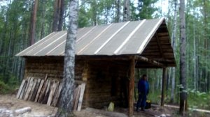 Постройка избы в лесу